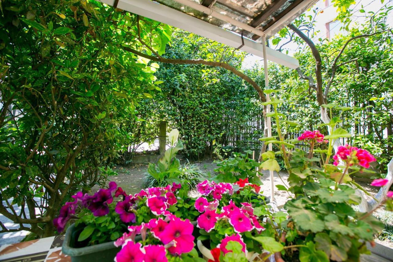 Guest House Lavr Gagra Exterior foto